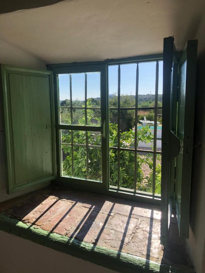 Casa Del Almezo Gospodarstwo wiejskie