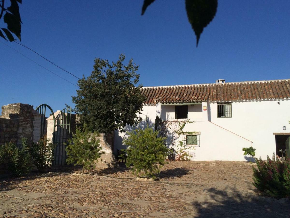 Casa Del Almezo Country house